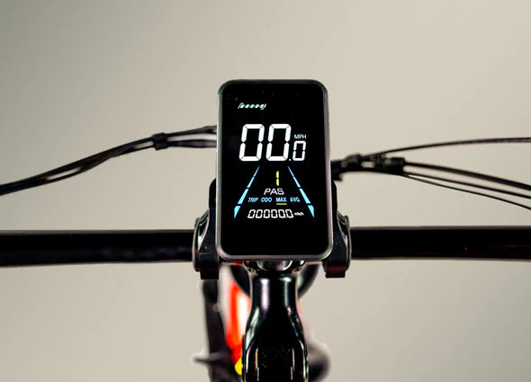 Full-Color LCD Display