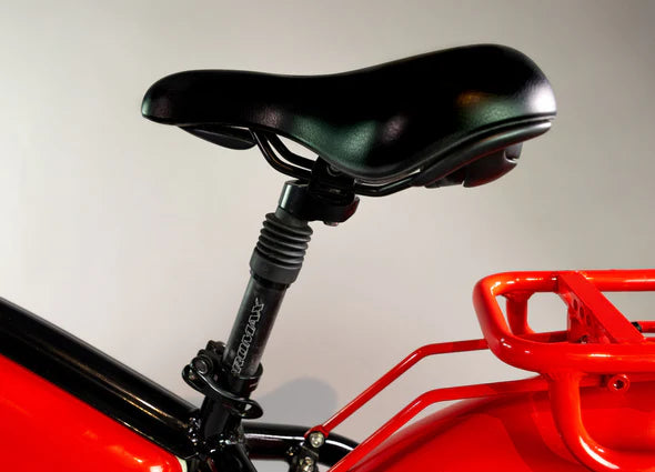 Shock-Absorbing Seat Post & Saddle