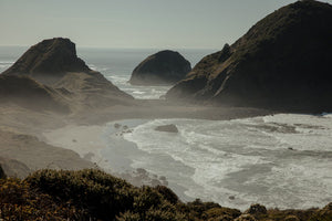 Field Notes: Road Tripping the Pacific Northwest
