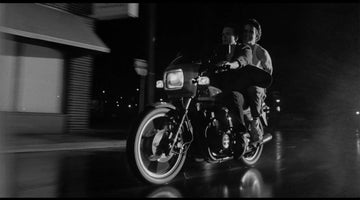 What We're Watching: Rumble Fish