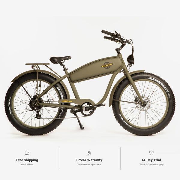 BEAST 750W Fat-Tire Cruiser eBike