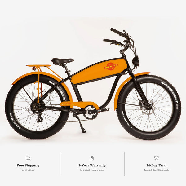 BEAST 750W Fat-Tire Cruiser eBike