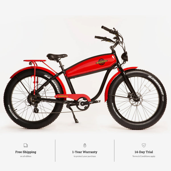 BEAST 750W Fat-Tire Cruiser eBike