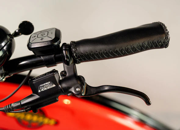 Hydraulic Disc Brakes