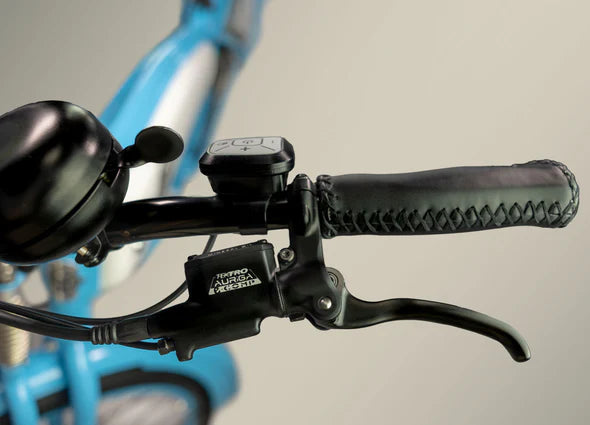 Hydraulic Disc Brakes